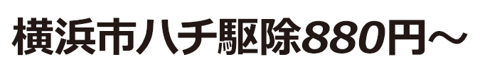 横浜市ハチ駆除880円〜