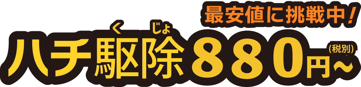 ハチ駆除880円(税別)〜